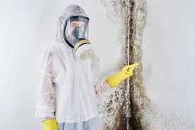 Best Environmental Consulting for Mold Prevention  in Tallapoosa, GA